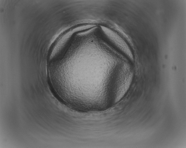 X0000072540011200607281635