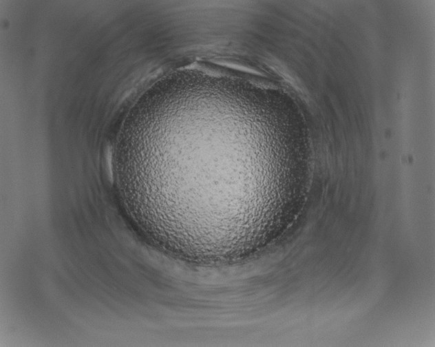 X0000072540022200607281635