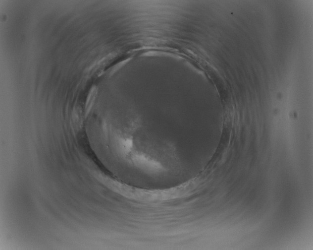 X0000072540043200607281635