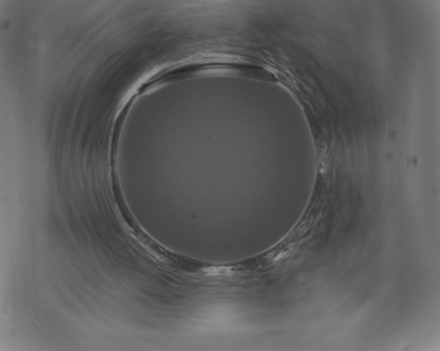 X0000072540052200607281634