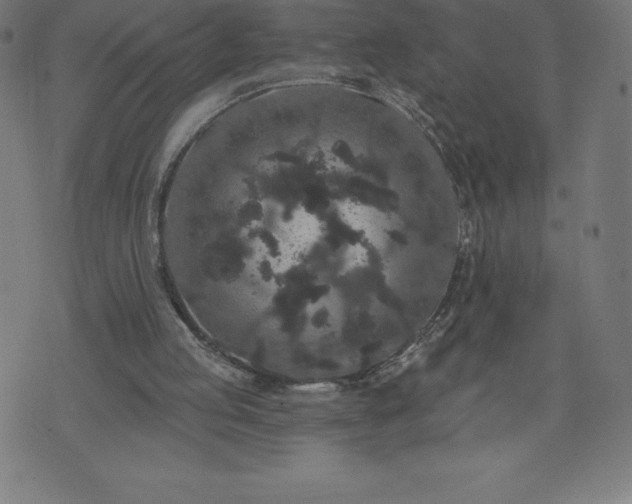 X0000072540053200607281634