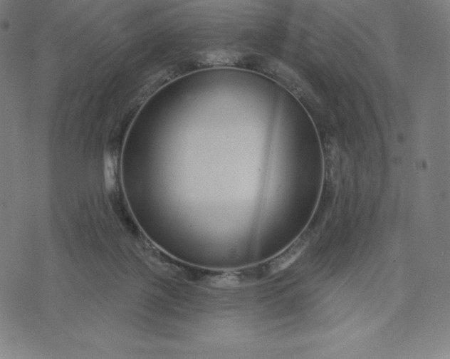 X0000072540075200607281634