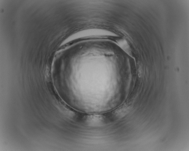 X0000072540077200607281634
