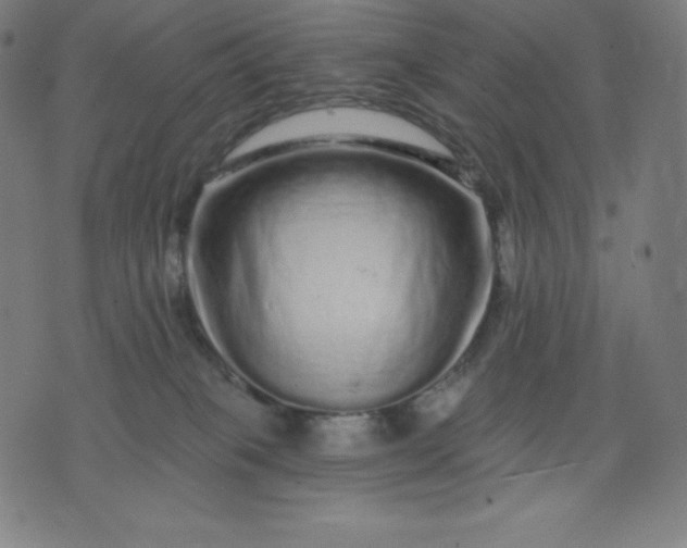 X0000072540085200607281634