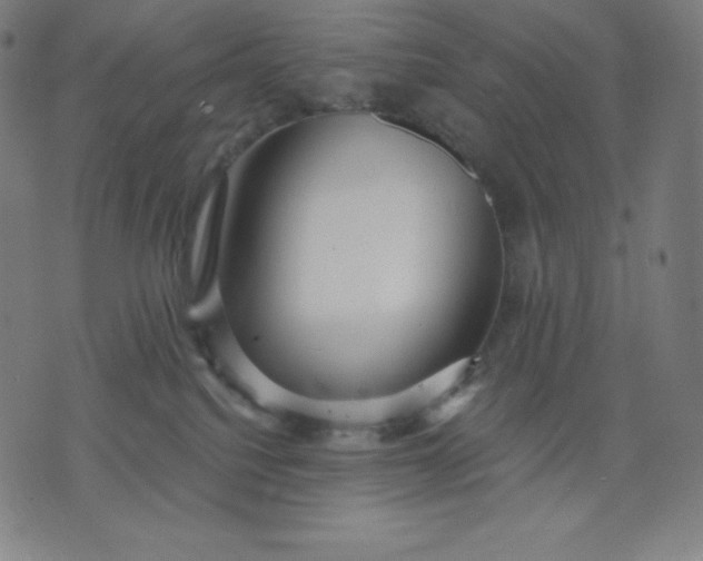 X0000072540088200607281634