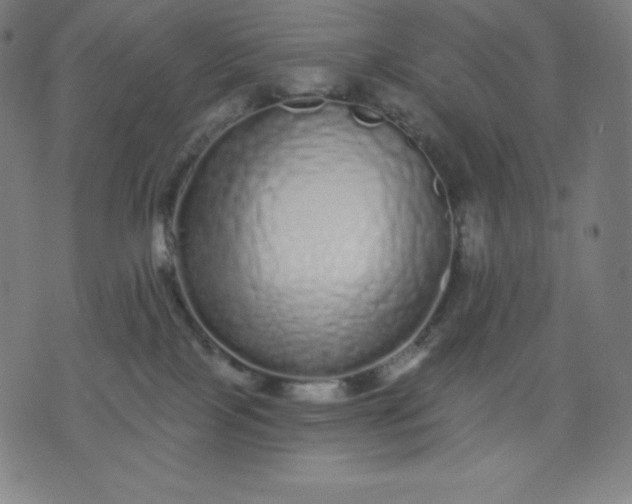 X0000072540089200607281634