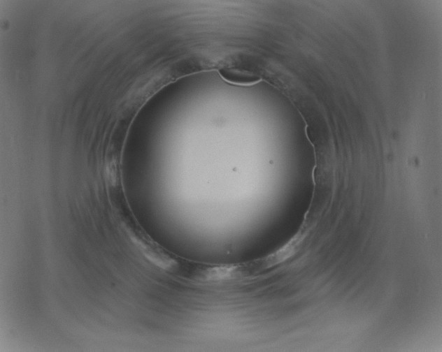 X0000072540090200607281634