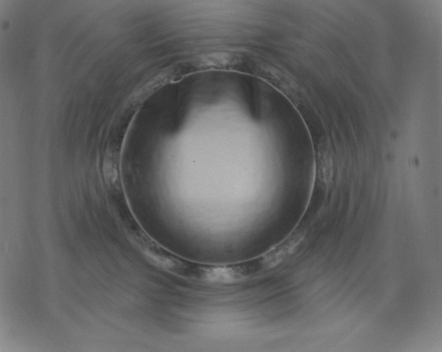 X0000072540091200607281634