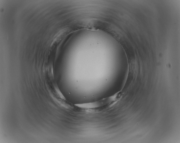 X0000072540092200607281634