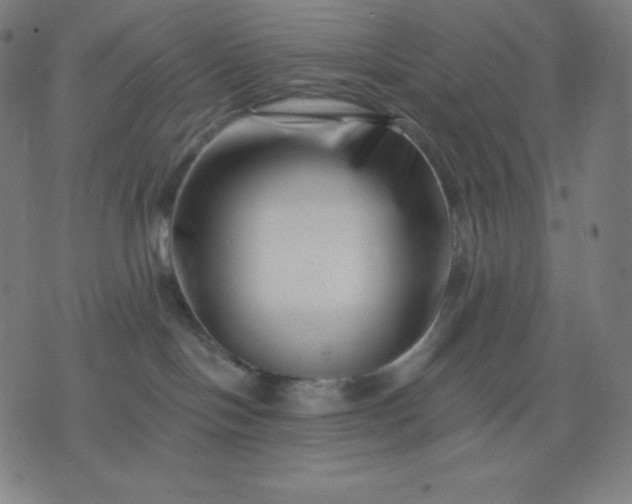X0000072540094200607281634