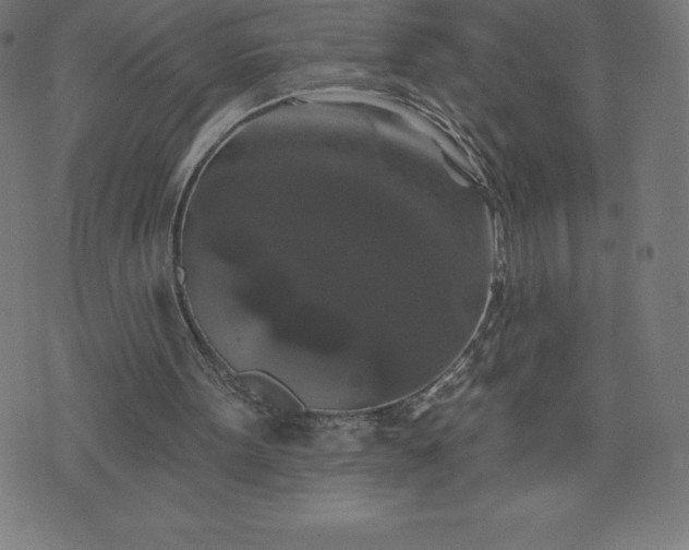 X0000072540099200607281634