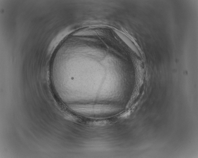 X0000072540103200607281634
