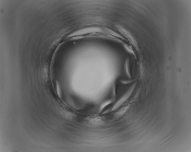 X0000072540113200607281633
