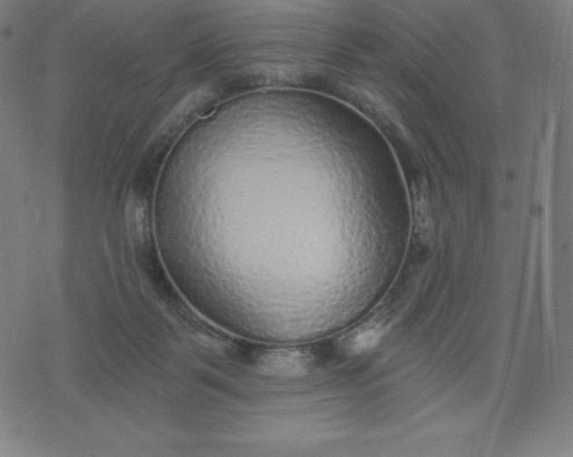 X0000072540123200607281633