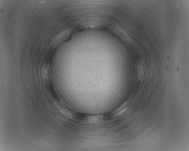 X0000072540126200607281633