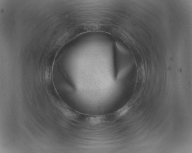 X0000072540134200607281633