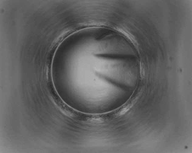 X0000072540157200607281632