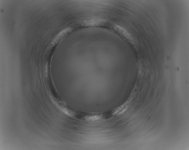 X0000072540163200607281632