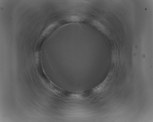 X0000072540167200607281632