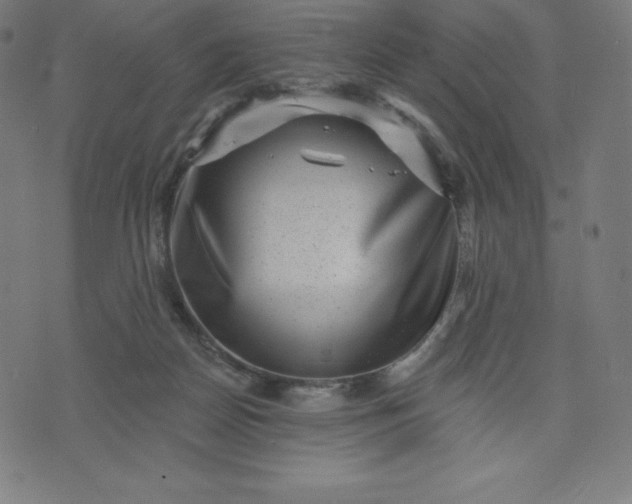 X0000072540170200607281633