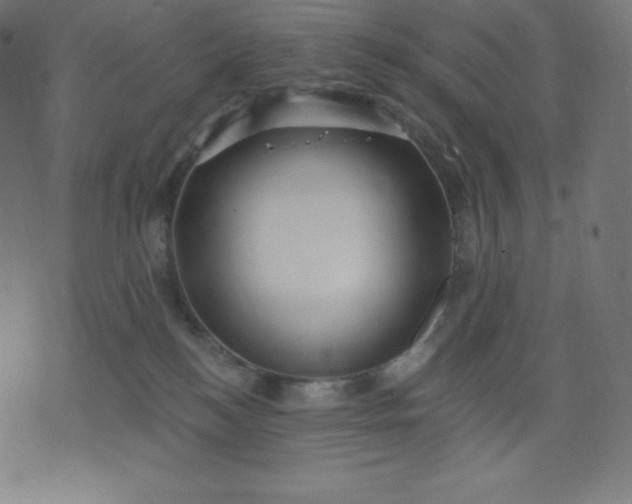 X0000072540184200607281633