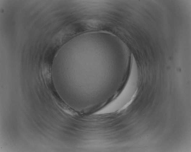 X0000072540186200607281633