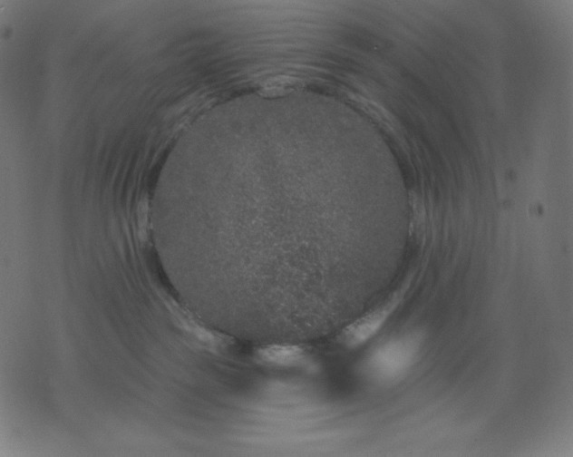 X0000072540189200607281633