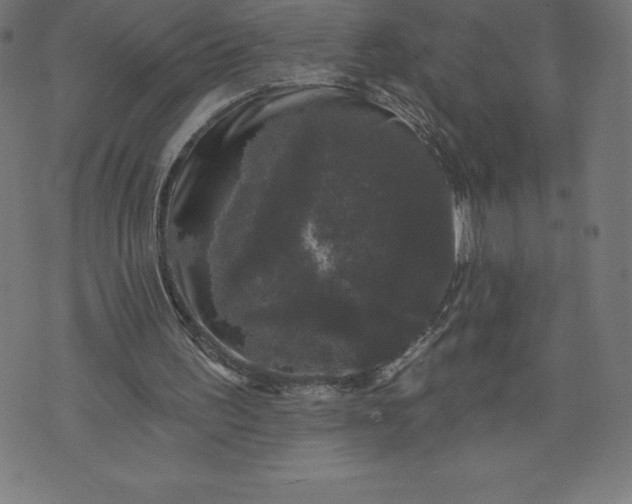 X0000072540195200607281632
