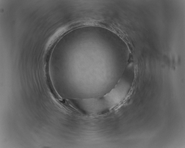 X0000072540197200607281632