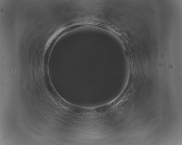 X0000072540200200607281632