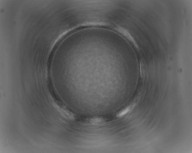X0000072540204200607281632