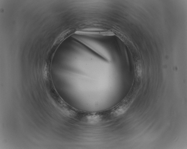X0000072540216200607281632