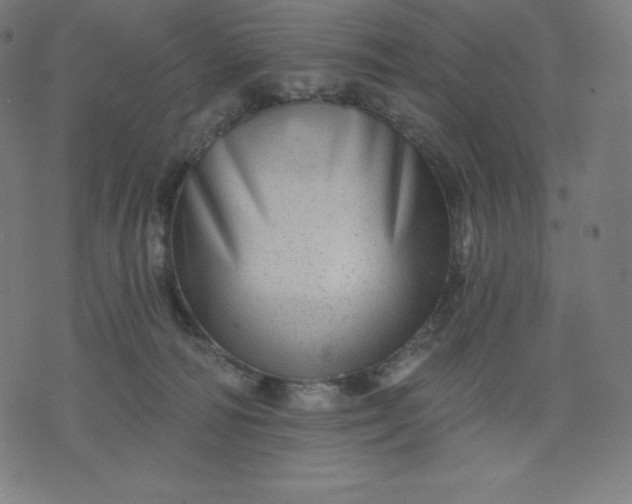 X0000072540226200607281632