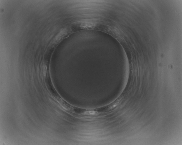 X0000072540227200607281632