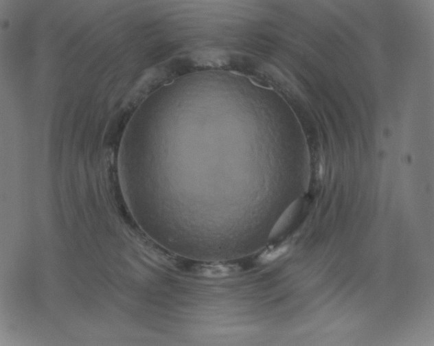 X0000072540229200607281632
