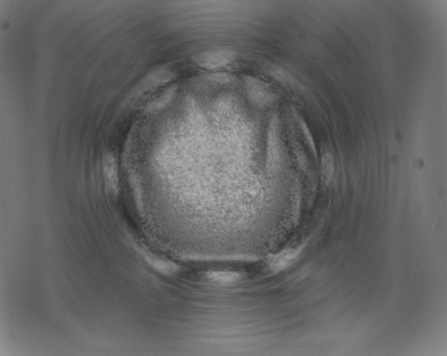X0000072540234200607281631