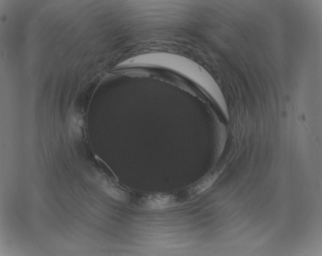 X0000072540235200607281631