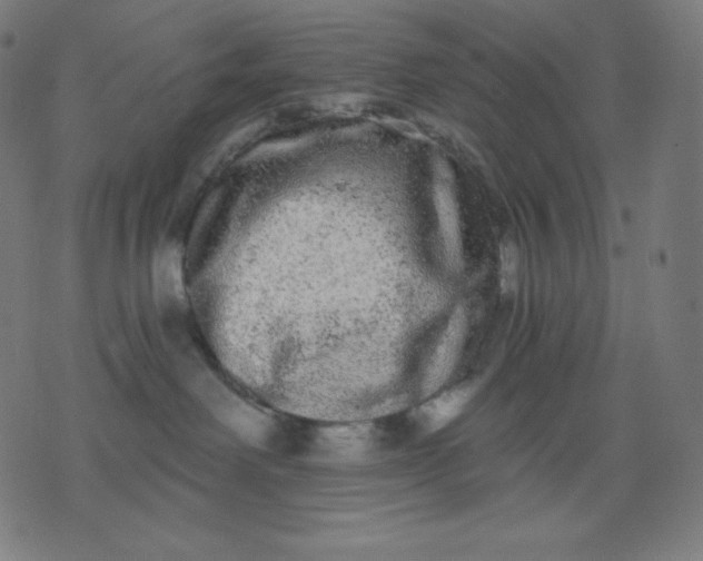 X0000072540238200607281631
