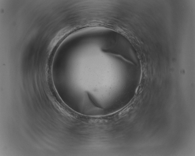 X0000072540242200607281631