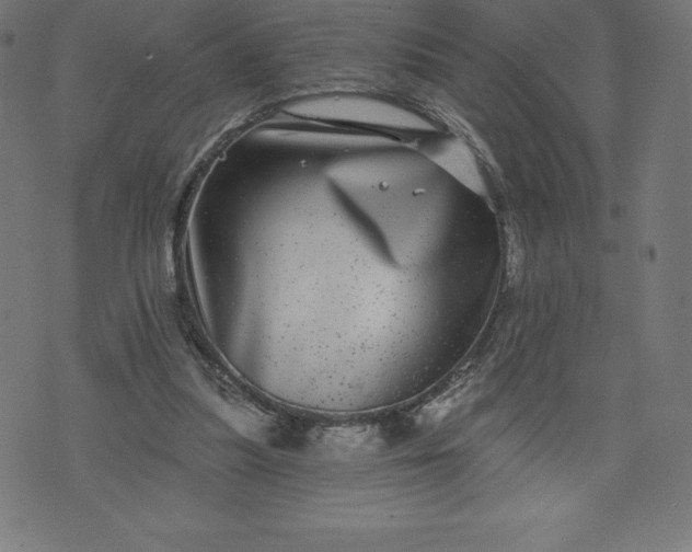 X0000072540251200607281631
