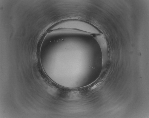 X0000072540252200607281631