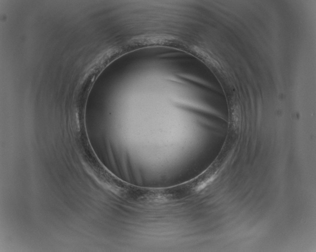 X0000072540254200607281631