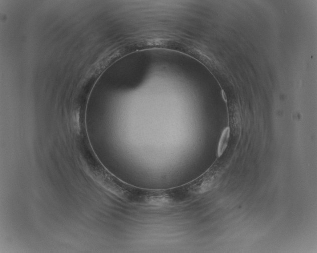 X0000072540262200607281631