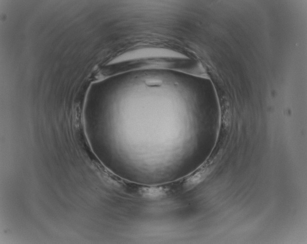X0000072540273200607281631