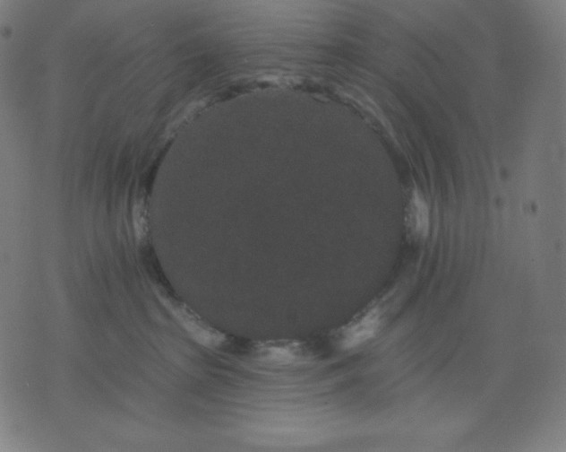 X0000072540285200607281631