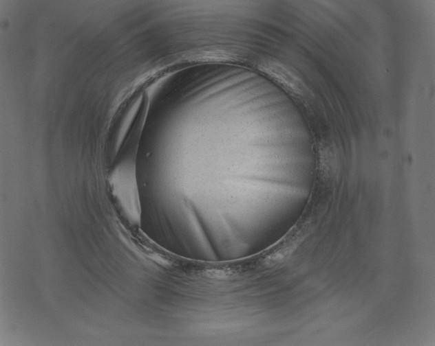 X0000072540302200607281630