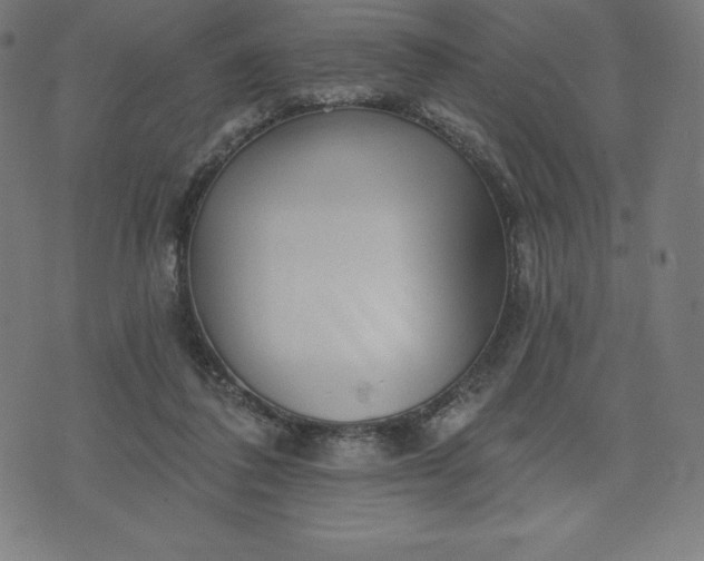 X0000072540308200607281630