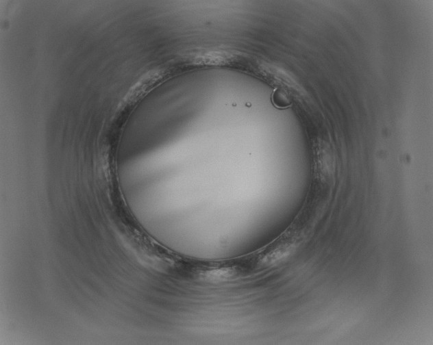 X0000072540312200607281630