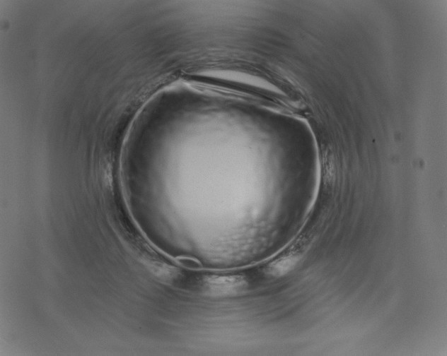X0000072540315200607281630