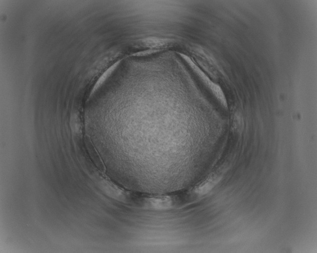 X0000072540317200607281630